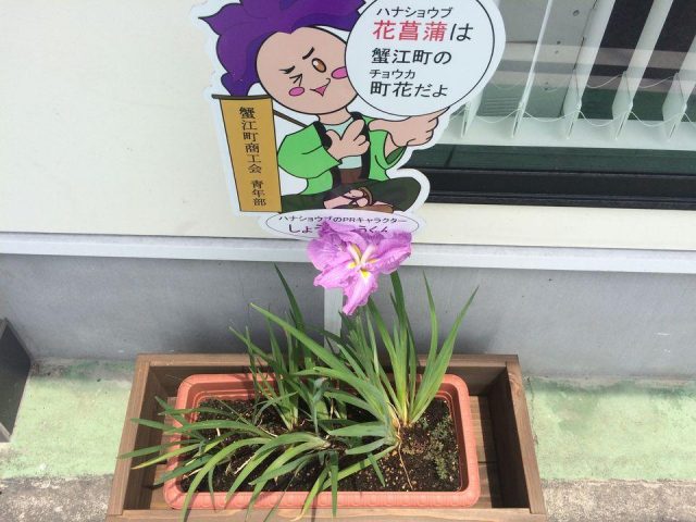 花咲いた♬